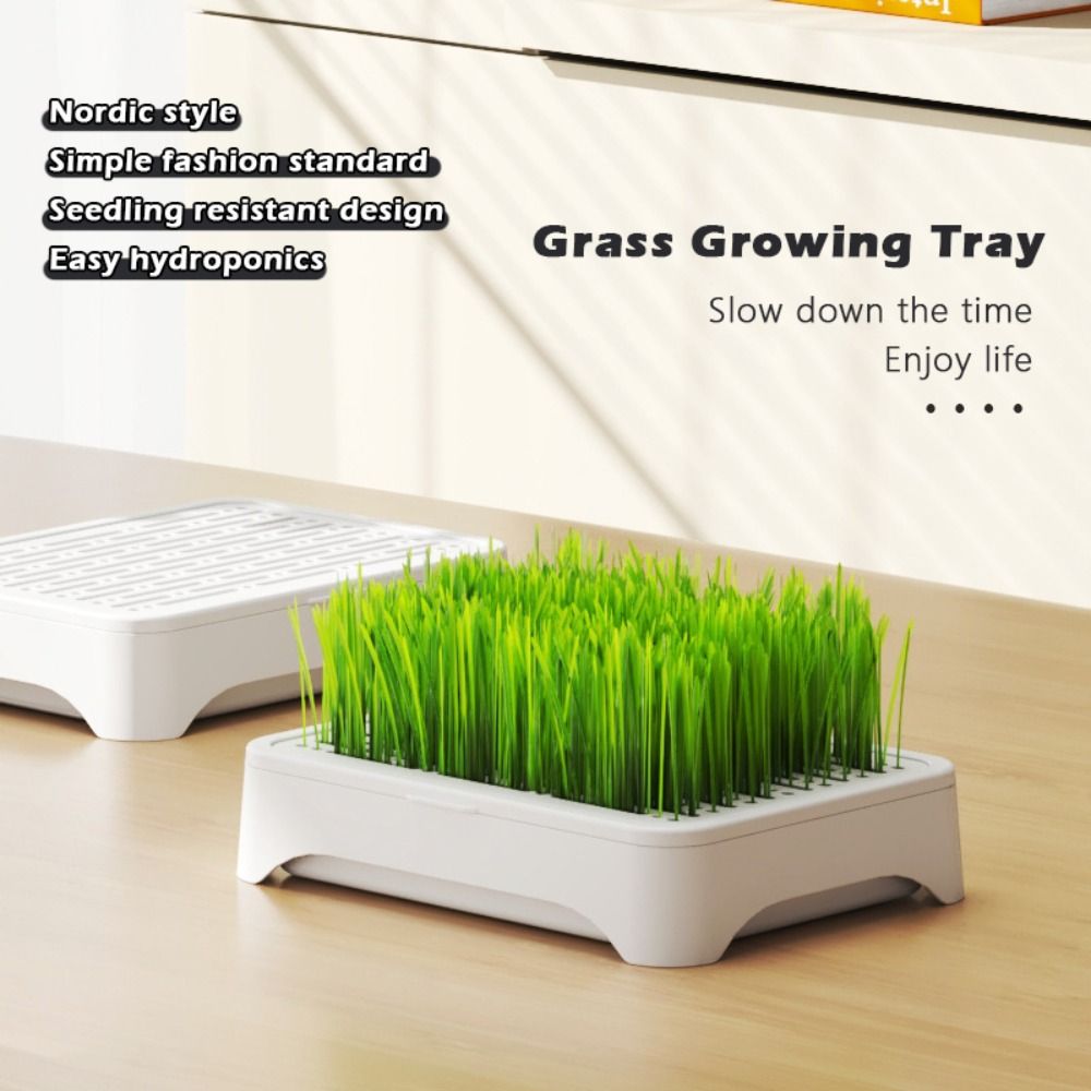 Grass Seed Spreader - ถาดเพาะเมล็ดพลาสติกแบบไฮโดรโปนิกส์ ปลูกเองได้ ใช้ซ้ำได้ กระถางเพาะต้นหญ้าแมว อุปกรณ์ปลูกต้นไม้เอนกประสงค์ อุปกรณ์ทำสวน