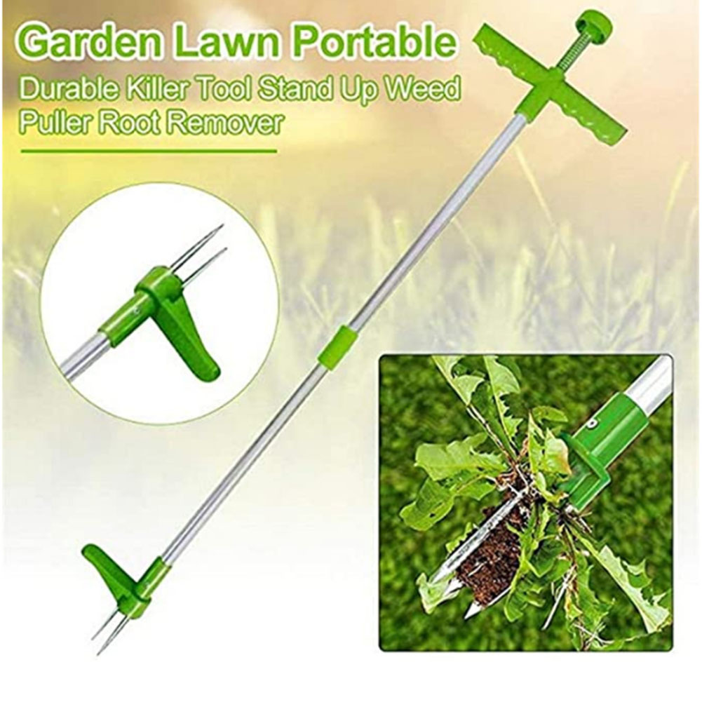 Grass Seed Spreader - คู่มือทนทาน Killer เครื่องมือ Stand Up Weed