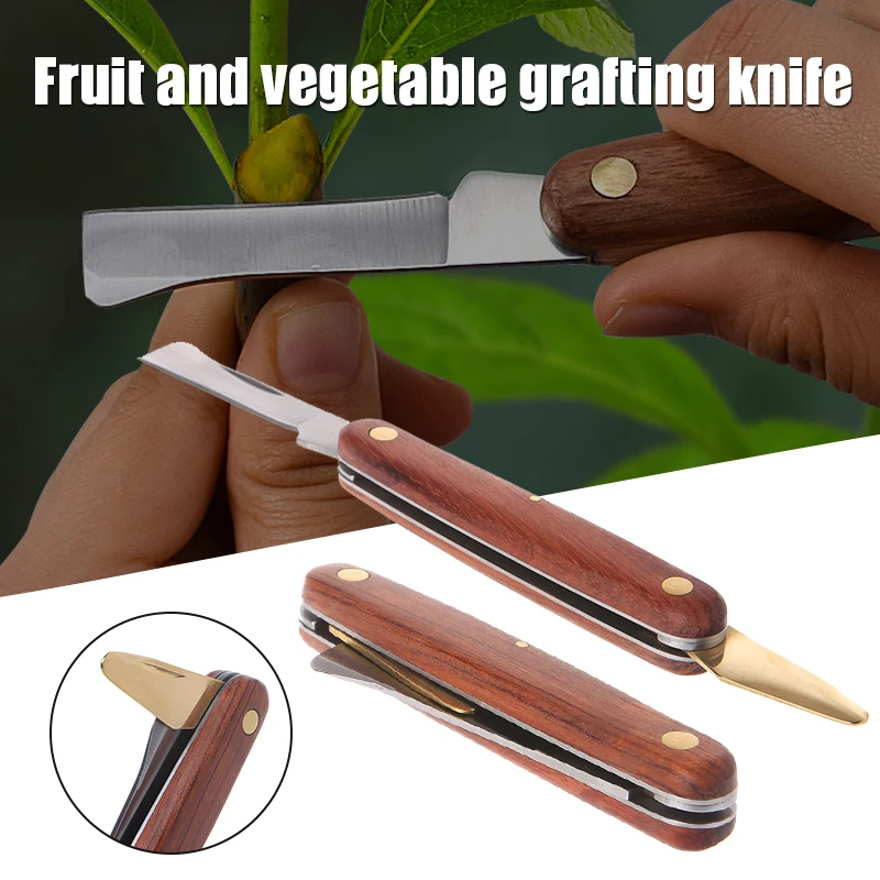 Harvest Knife Garden - เครื่องมือสำหรับติดตามกิ่งมีดตัดแต่งกิ่งไม้แบบมืออาชีพใช้ในสวนสแตนเลสสตีลด้ามไม้