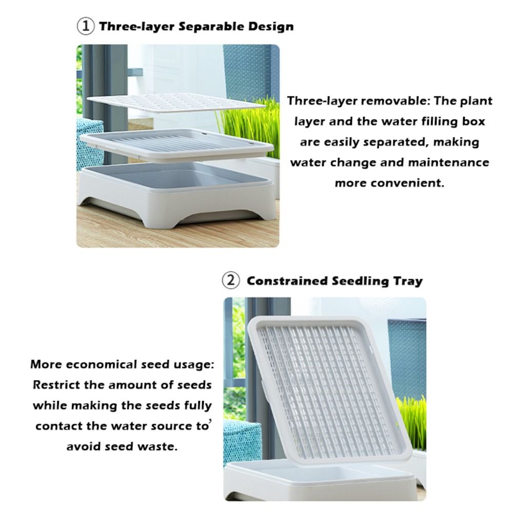 ถาดเพาะเมล็ดพลาสติกแบบไฮโดรโปน - Grass Seed Spreader บทวิจารณ์และราคา