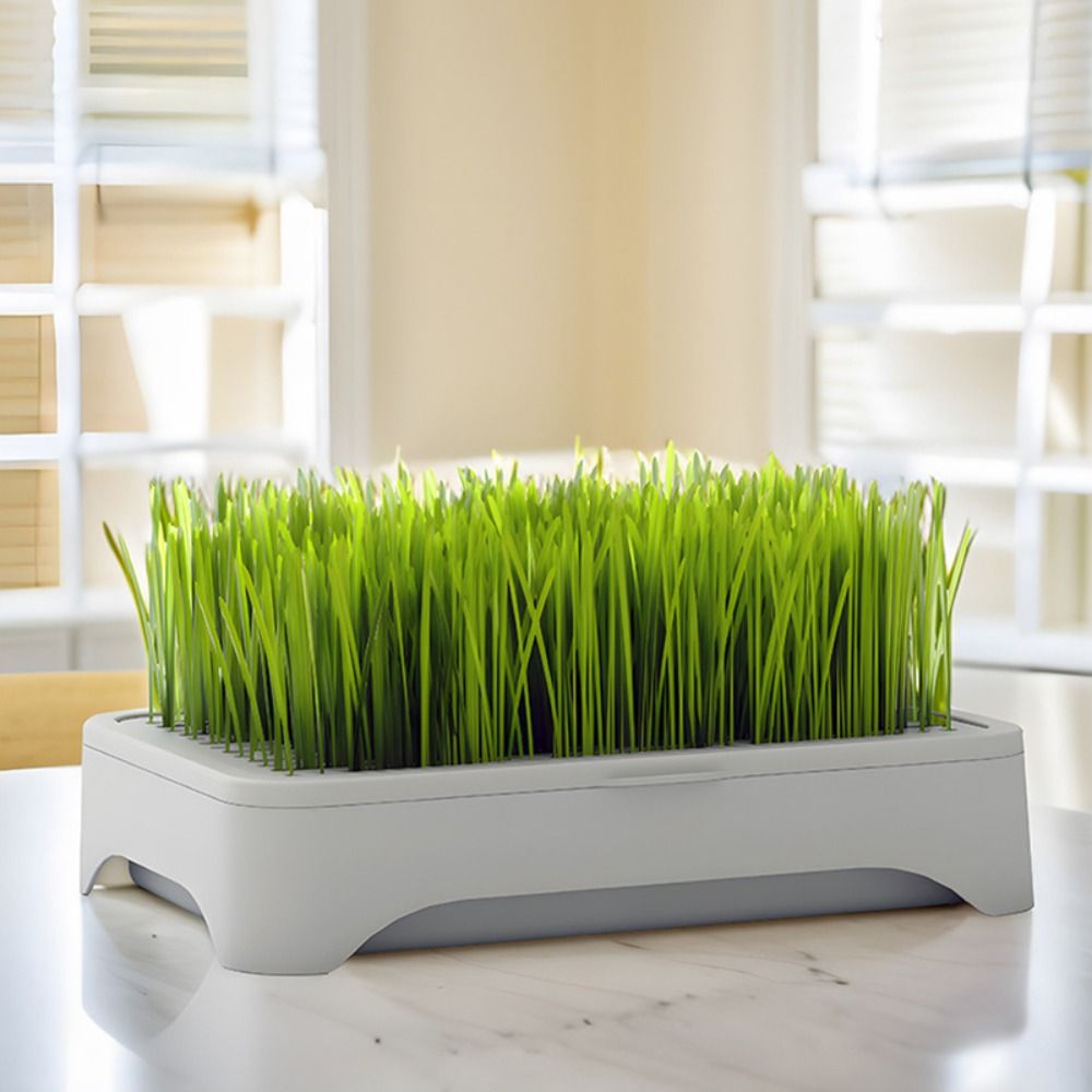 ถาดเพาะเมล็ดพลาสติกแบบไฮโดรโปน - Grass Seed Spreader บทวิจารณ์และราคา