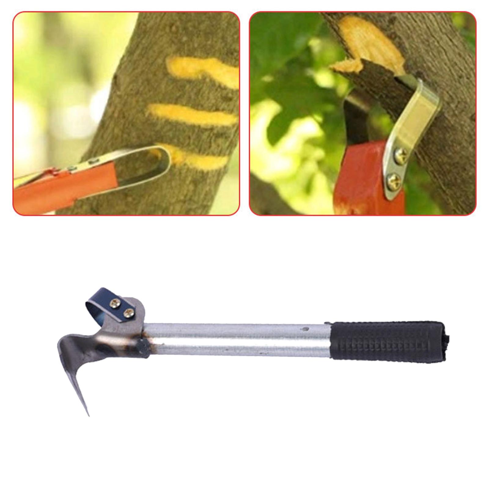 เครื่องมือขูดเปลือกไม้ บาร์คส์ - Gardening Tools Drawing บทวิจารณ์และราคา