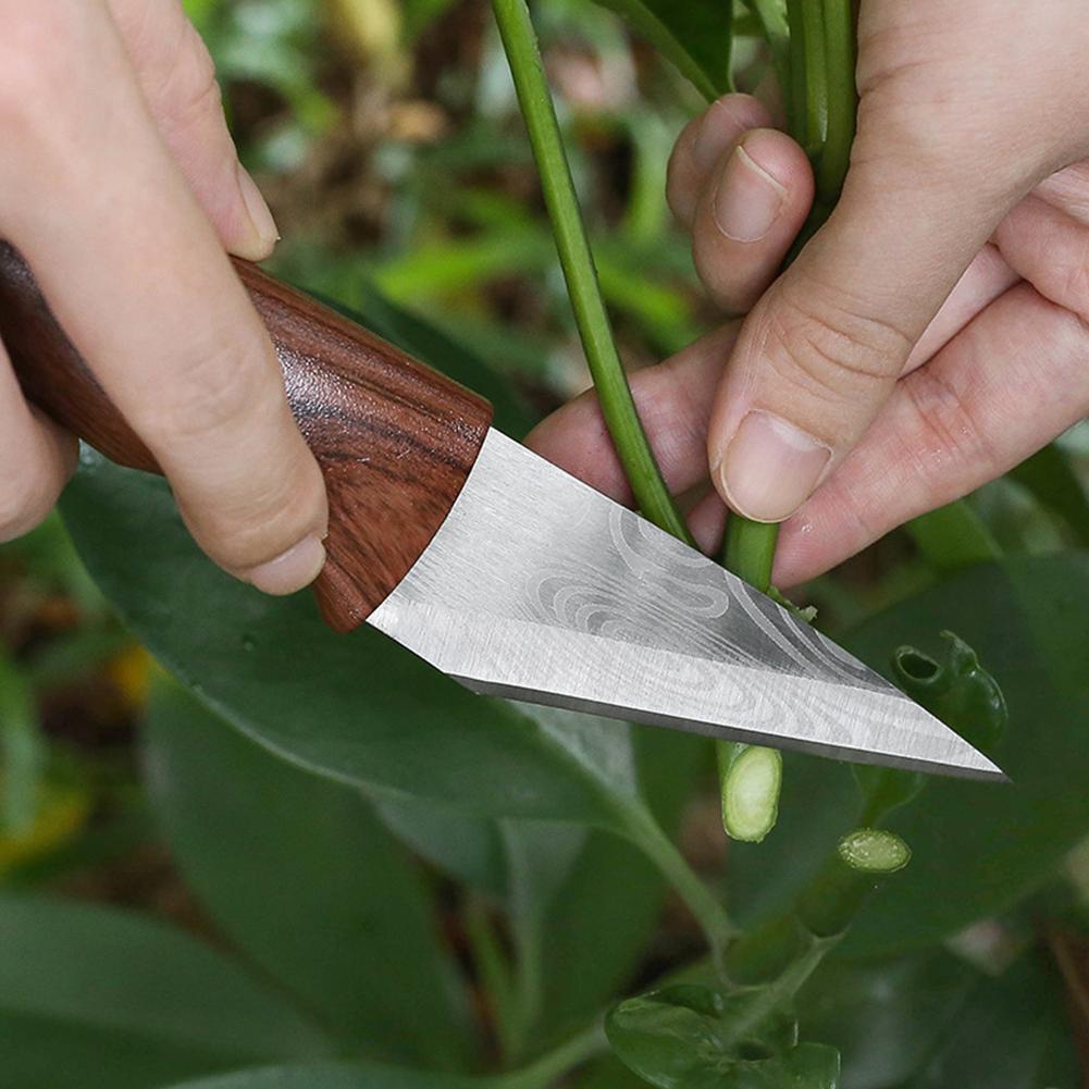 มีดต่อกิ่ง  มีดตัดแต่งกิ่ง  มี - Harvest Knife Garden บทวิจารณ์และราคา