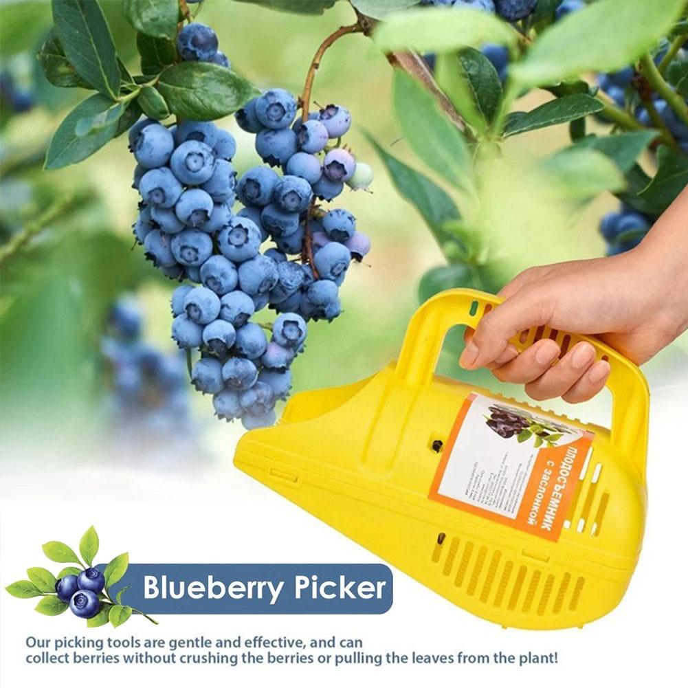 เครื่องมือเก็บบลูเบอร์รี่แบบจั - Gardening Tools Must Haves บทวิจารณ์และราคา