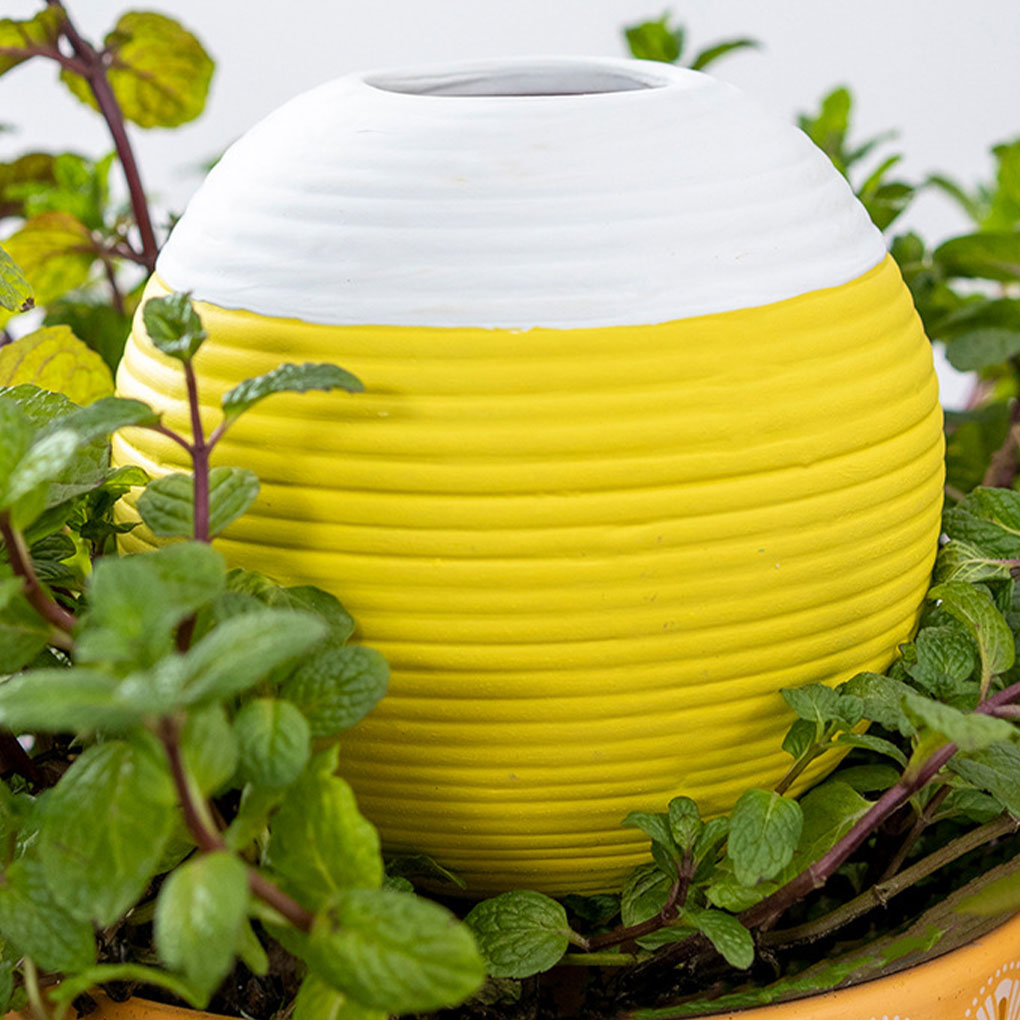เครื่องมือรดน้ำต้นไม้เซรามิกอั - Gardening Tools Must Haves บทวิจารณ์และราคา
