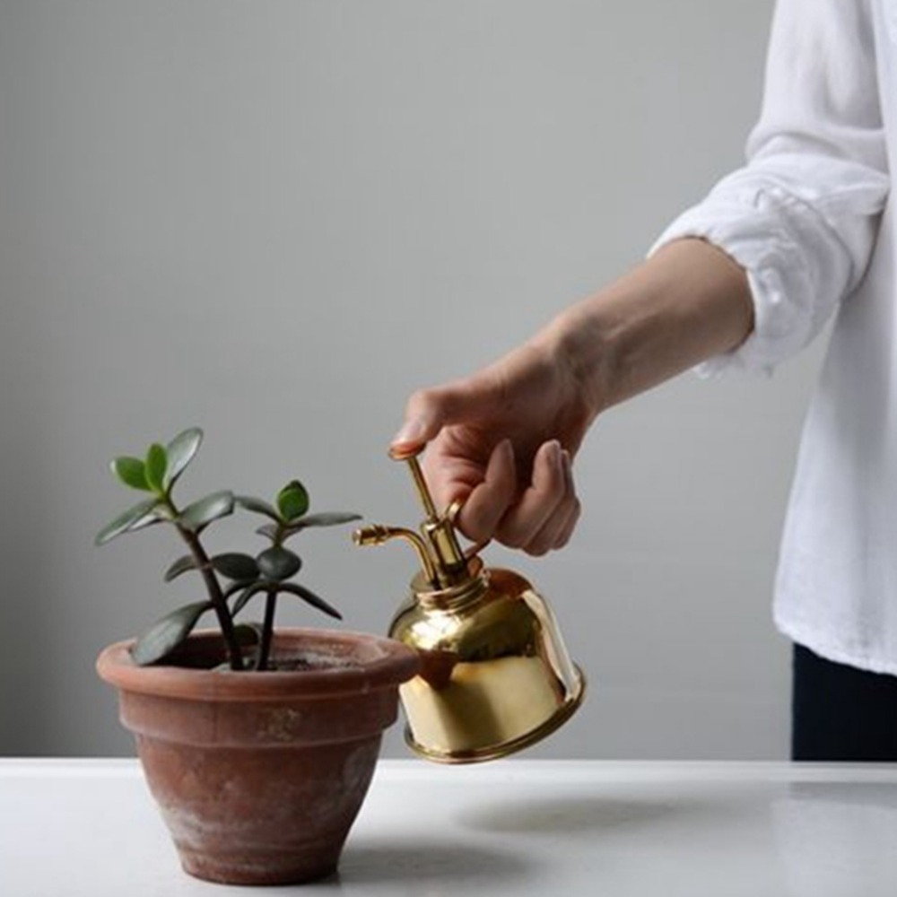 ทองเหลืองรดน้ําสเปรย์ขวด Vinta - Gardening Tools Vintage บทวิจารณ์และราคา
