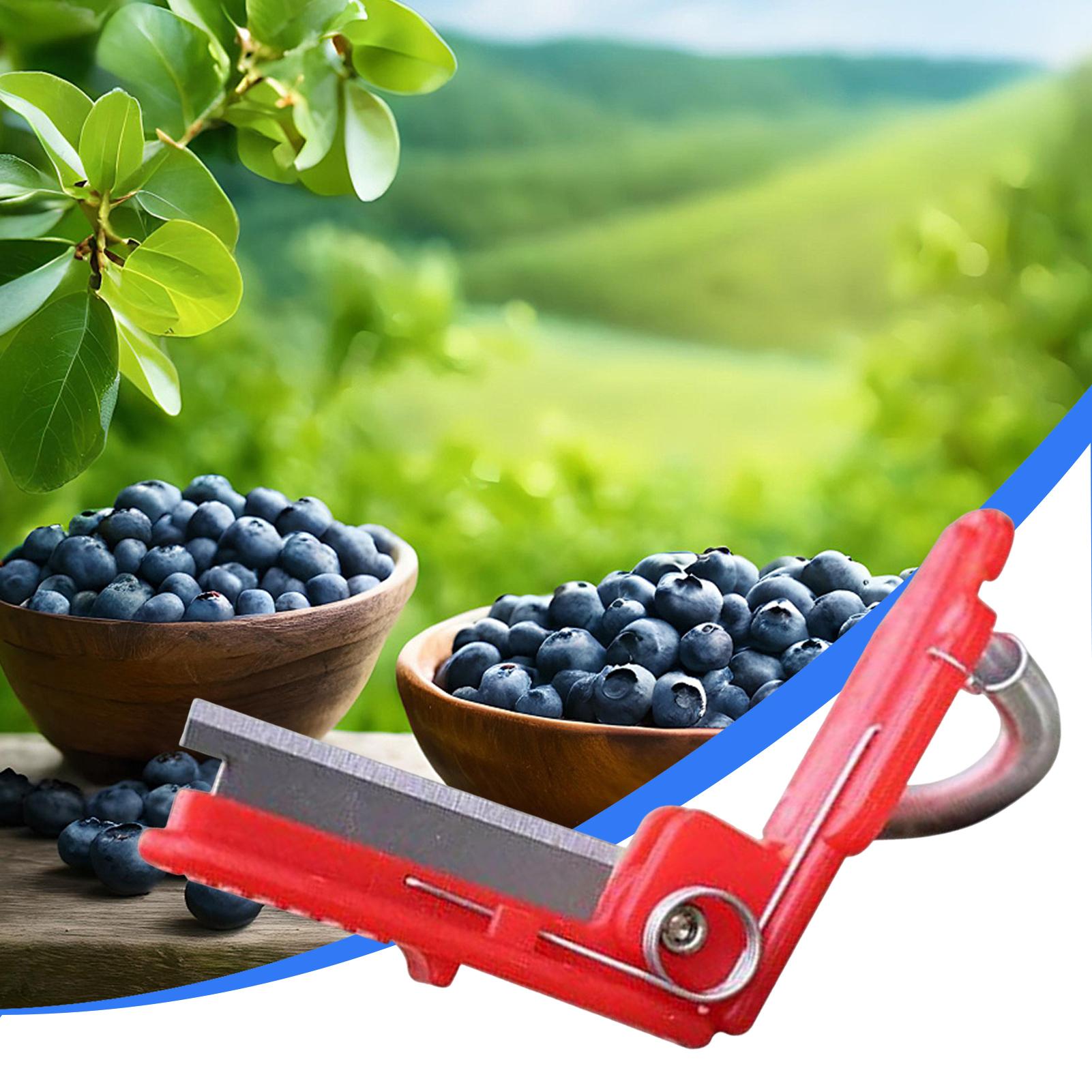 มีดอเนกประสงค์แบบสวมนิ้ว สำหรั - Harvest Knife Garden บทวิจารณ์และราคา