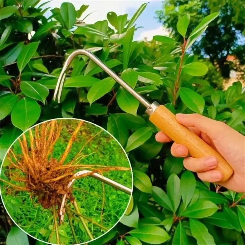 สแตนเลสสวน Weeder คู่มือการกํา - Grass Seed Spreader บทวิจารณ์และราคา