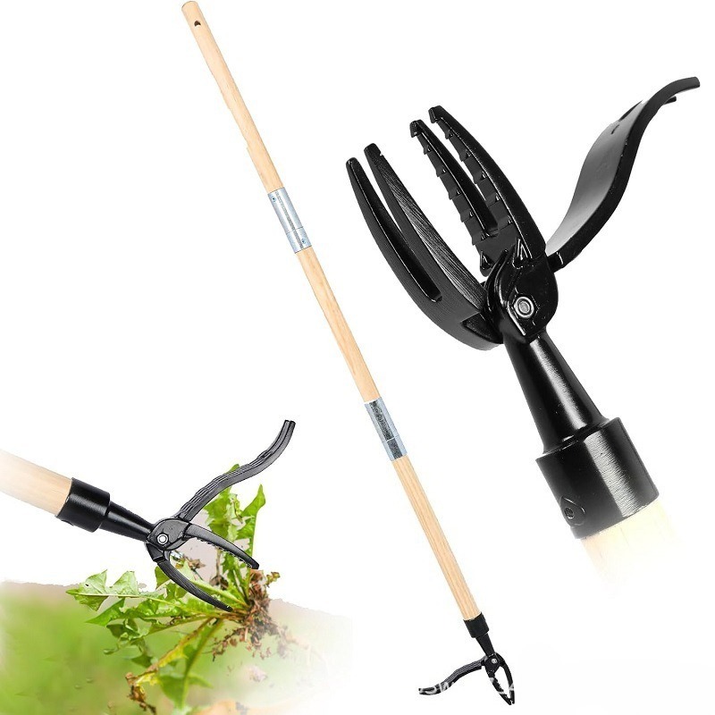 เครื่องมือถอนวัชพืชแบบยืน - เค - Grass Seed Spreader บทวิจารณ์และราคา