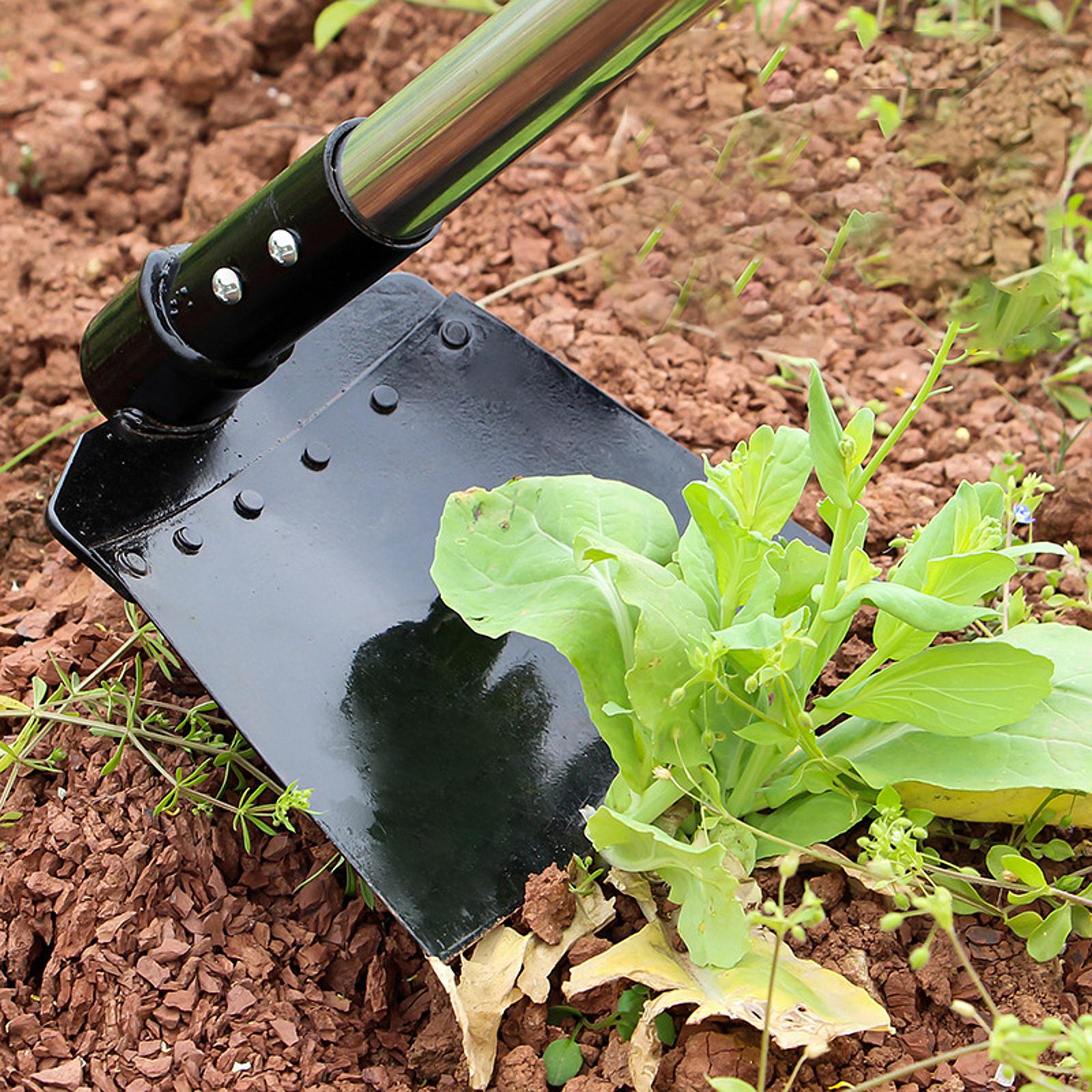 Weeding Sickle Hoe ปรับยาวยืน  - Gardening Tools Long Handle บทวิจารณ์และราคา
