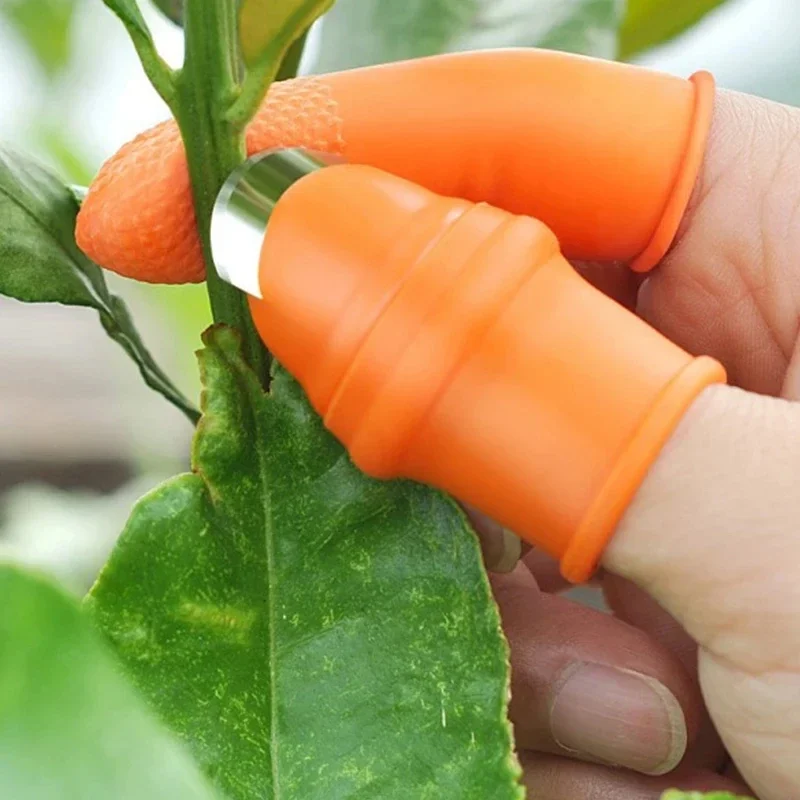 มีดปลอกเปลือกผักแบบนิ้วโป้ง สำ - Gardening Tools Knife บทวิจารณ์และราคา