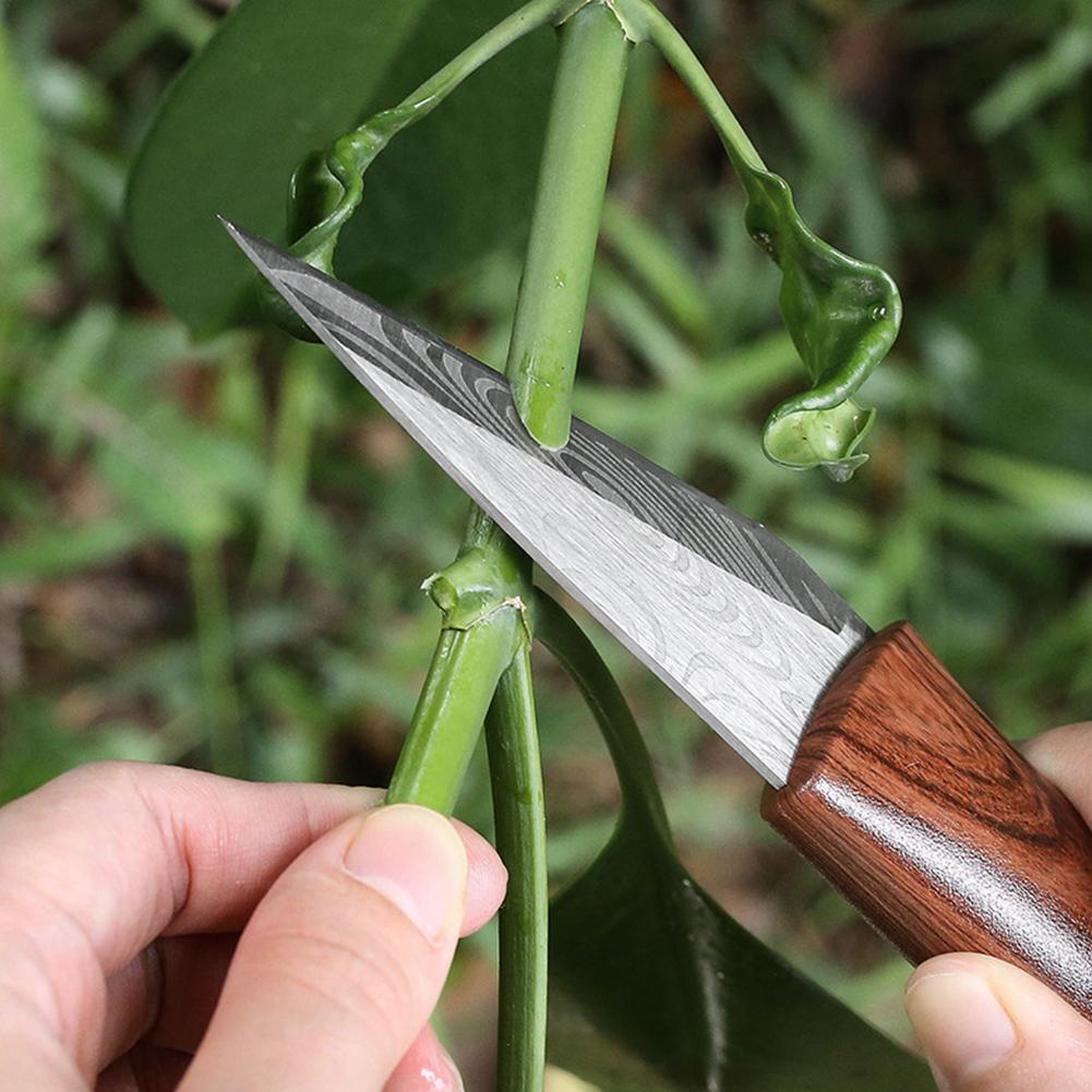 มีดปลูกต้นไม้คมกริบ ด้ามไม้ พร - Harvest Knife Garden บทวิจารณ์และราคา