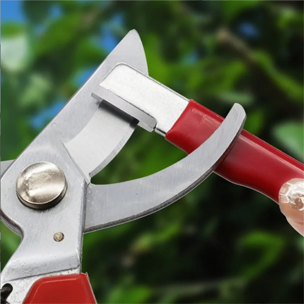 เครื่องลับมีดพกพาอเนกประสงค์,  - Gardening Tools Knife บทวิจารณ์และราคา