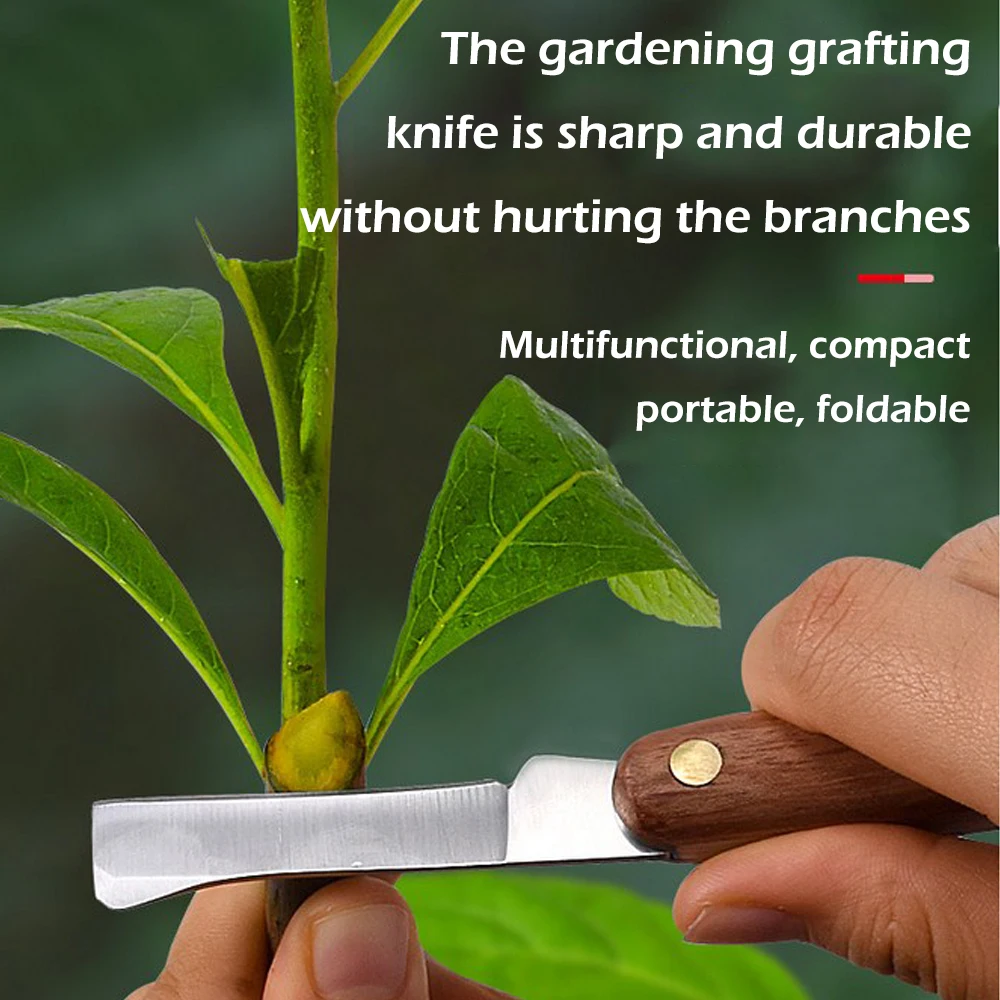เครื่องมือสำหรับติดตามกิ่งมีดต - Harvest Knife Garden บทวิจารณ์และราคา
