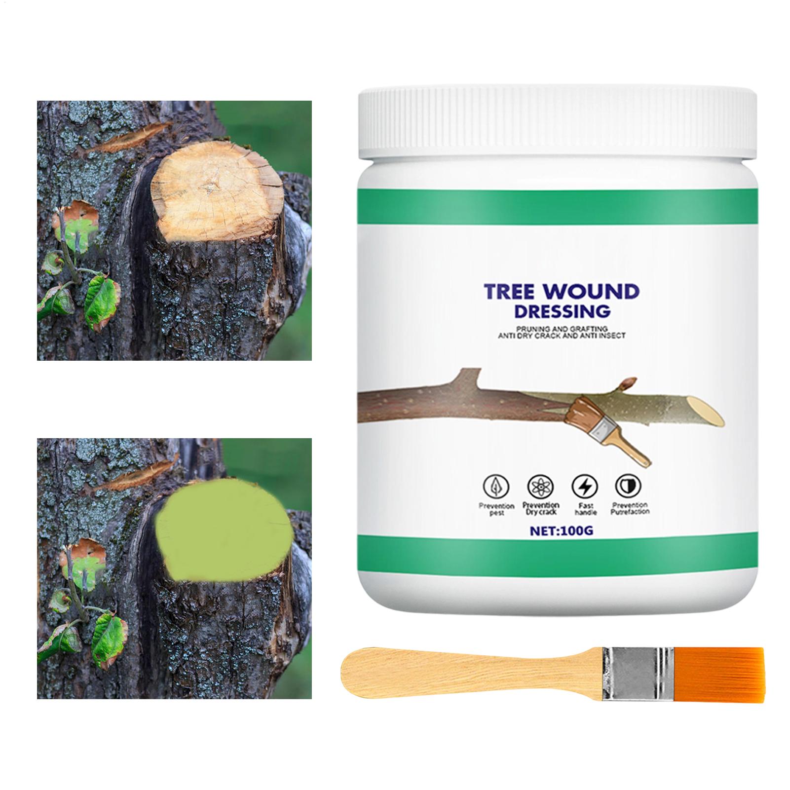 น้ำยาปิดแผลต้นไม้ น้ำยาทาแผลต้ - Gardening Tools For Women บทวิจารณ์และราคา
